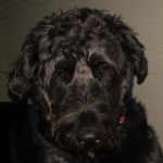 Hank Edwards - @hankedwards3 - Instagram