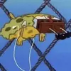 The_spiderman_bro - @hankelliott - TikTok