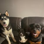 Hank Garner - @garner_hank - Instagram