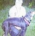 Hank Harvey - Facebook