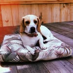 Hank Harvey - @harvey.hank - Instagram