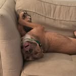 Hank Harvey Fuller - @hanklinfuller - Instagram