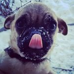 Hank Jackson - @hankisinthehouse - Instagram