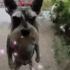 Hank jackson - @hank.jackson - TikTok