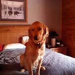 Hank Jaeger - @jaegerhank - Instagram