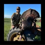Hank Johnson - @hank.johnson12 - Instagram