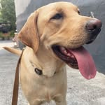 Hank | King of the Marina - @marinaboyhank - Instagram