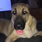 Hank King - @hankking3 - Instagram