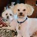 Hank King - Facebook