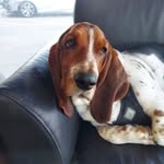 King Of WASI - @hank.king24 - Instagram