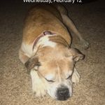 Hank Martin - @hankmartin29 - Instagram