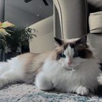 Hank Martin - @hankplusbaby - Instagram