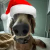 hank fan page!!! - @hankpeterfanpage - TikTok