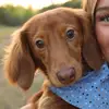 hanks_ Official_fanpage - @hanks_fan_page - TikTok