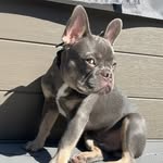 Hank Pierce - @hank_tankertons23 - Instagram