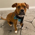 Hank Pierce - @_hotdoghank - Instagram