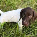 Henry Pierce - Facebook