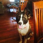Hank Roberson - @hank.roberson1 - Instagram