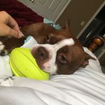 Hank - @_hank_roberts_ - Instagram