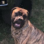 Hank Roberts - @_hank_stagram_ - Instagram