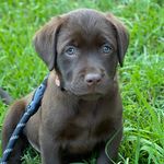 Hank Roberts - @hanky_pank_ - Instagram
