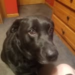 Hank Roberts - @hankjr_01 - Instagram