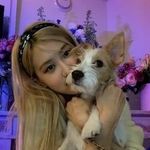 Hank cachorro da rose - @hank.ofc - Instagram
