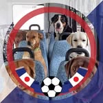 Hank Rose - @hankrose547 - Instagram
