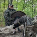 Hank Ross - @hankross6 - Instagram
