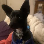 @hank_shank2022 - Instagram