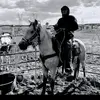 Hanks Hanks - @hanks.hanks5 - TikTok