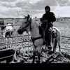 Hanks Hanks - @hanks.hanks50 - TikTok