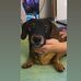 Hank Simmons - Facebook