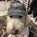 Hank Simonelli Kakascik - Facebook