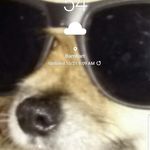 Hank Smock - @hanksmock - Instagram