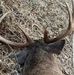 Henry Smock - Facebook