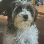 Henry Snell - Facebook