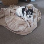 Hank Snow - @hank.snow.7543 - Instagram