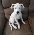 Hank Stone - Facebook