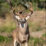 Hank Stoner - Facebook