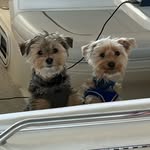 @hank_stram_2022 - Instagram