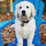Hank Sullivan - @hanky_boy.sullivan - Instagram