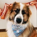 Hank Sullivan Mendoza - @hanklin_sullivan - Instagram