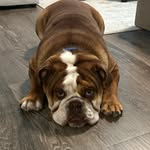 Hank Sullivan Richard - @just_hankn_around - Instagram