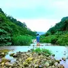 Hank Sung - @hank.sung - TikTok