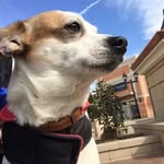 hank romeo todd - @hank_todd - Instagram