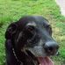 Hank Todd - Facebook