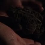 Hank Todd - @toad.toadington.1 - Instagram