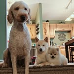 Hank, Todd and Eve - @hanktoddeve - Instagram