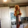 Sonic and Bentley tolers - @hanktoler - TikTok
